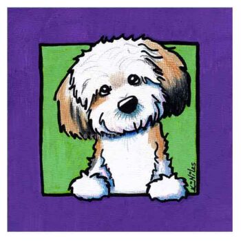 KiniArt Havanese