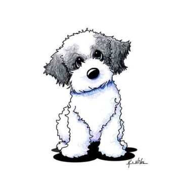 KiniArt Maltipoo