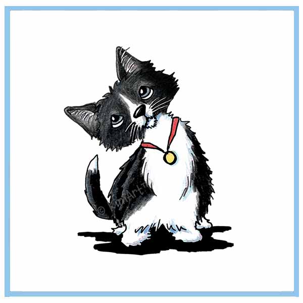 Tuxedo Kitty
