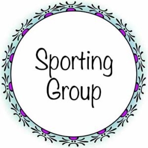 SPORTING GROUP