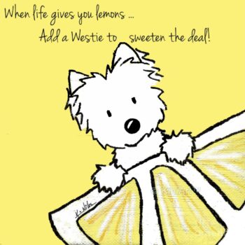 Lemon Westie