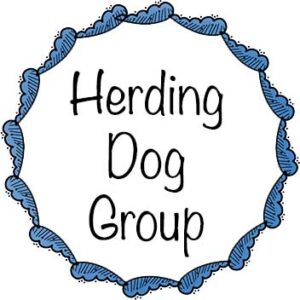 HERDING GROUP