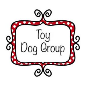 TOY GROUP