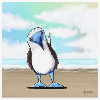 Blue Footed Booby