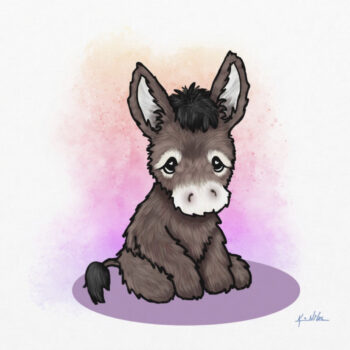 Baby Donkey