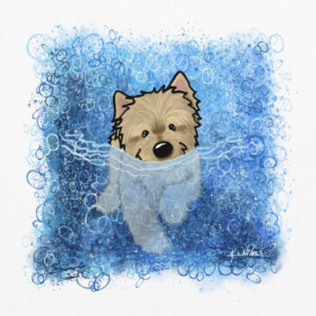 Cairn Terrier