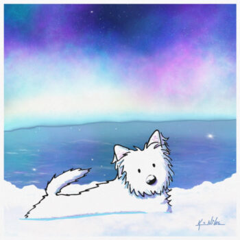 Winter westie