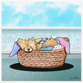 Pomeranian dog art