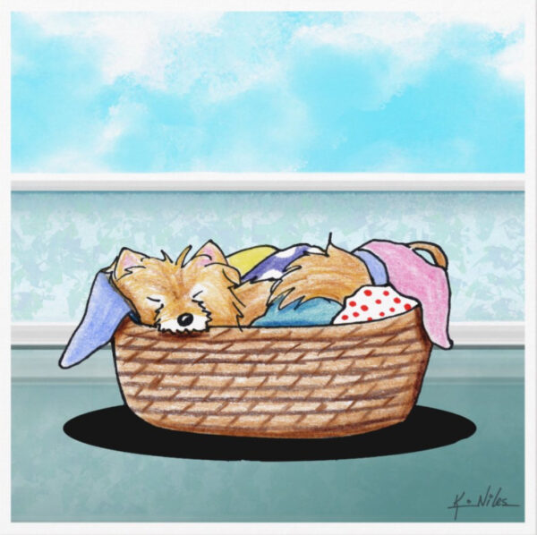Pomeranian dog art