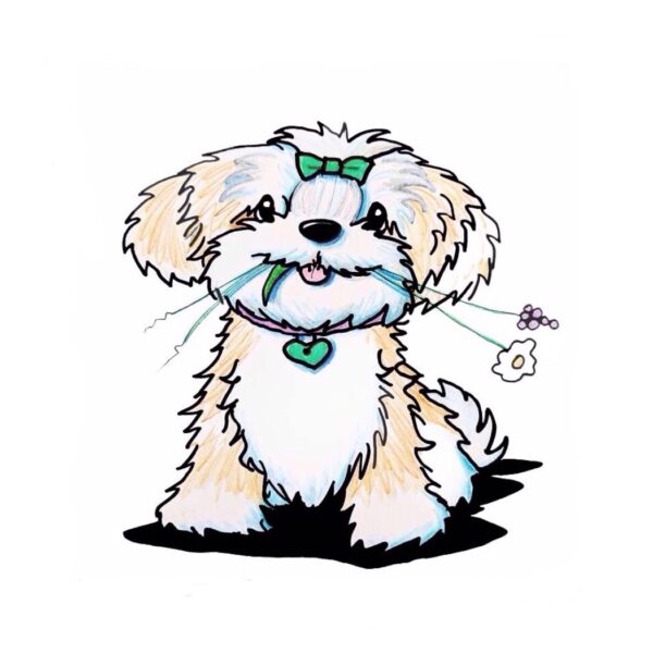 Shih tzu Dog art by Kim Niles
