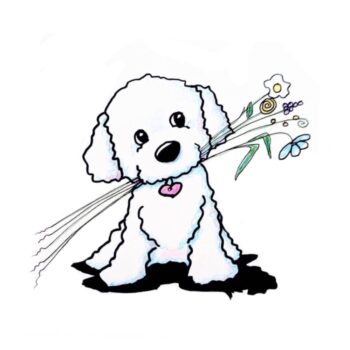 KiniArt bichon frisé dog Art