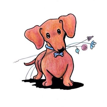 Dachshund Dog art