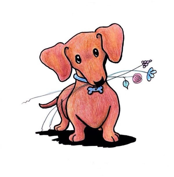 Dachshund Dog art
