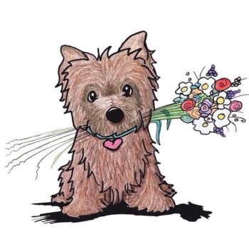 Cairn Terrier dog art by Kim Niles